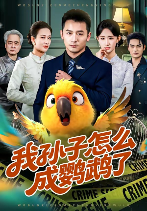 我孙子怎么成鹦鹉了（71集）热门短剧全集观看