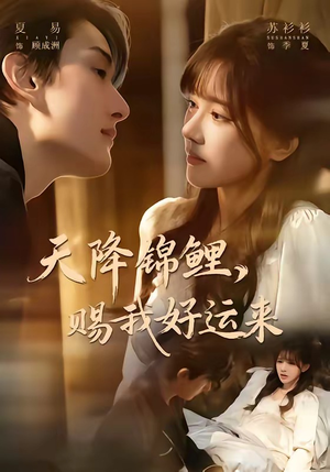 天降锦鲤，赐我好运来（60集）最新精彩短剧抢先看