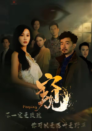 窥＆窥伺（37集）免费观看全集短剧无删减