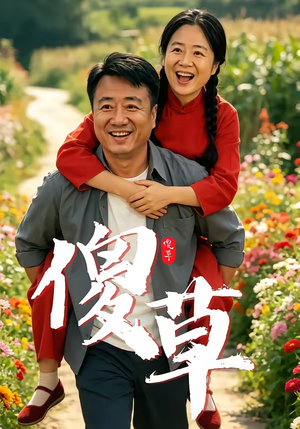 傻草（71集）全集短剧免费在线观看