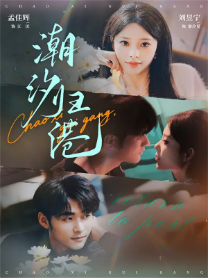 潮汐归港（66集）不睡觉也要看完的短剧